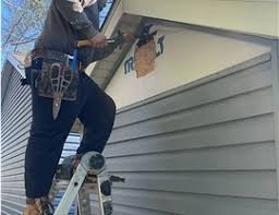 Best Storm Damage Siding Repair  in Hastings, MN